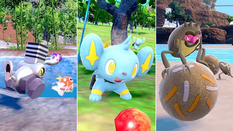 Karmesin Purpur Massiver Auflauf April 2024 Goldene Pokémon